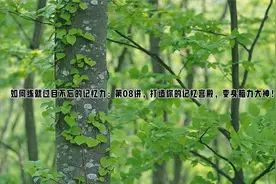如何练就过目不忘的记忆力：第08讲，打造你的记忆宫殿视频封面