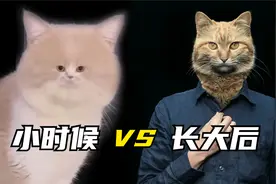 小时候 VS 长大后，区别有亿点大