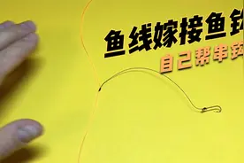 如何在鱼线上嫁接一个鱼钩，只需要掌握两个绳结绑法！视频封面