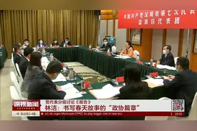 党代表分组讨论《报告》  林洁：书写春天故事的“政协篇章”视频封面