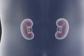 肾囊肿的发生率有多高？需要治疗吗？视频封面