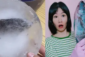 把活鱼放冰箱冻成冰块，解冻后还能“复活”，这是什么原理视频封面
