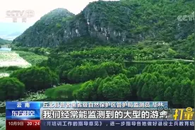 83个溶洞千姿百态！普者黑，别有洞天的生物乐园|东方时空视频封面