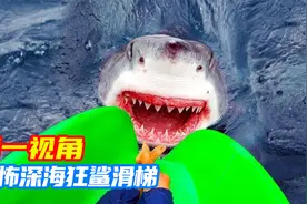 挑战恐怖深海狂鲨滑梯，会被吃掉吗？第一视角带你感受鲨鱼的恐怖视频封面