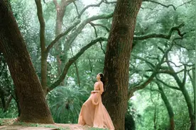 如何在普通大树下拍出好照片？选景角度和光线很关键，你掌握了吗视频封面