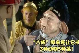 唐僧为何给猪悟能取名“八戒”？原来是让它戒了3种动物5种菜！视频封面