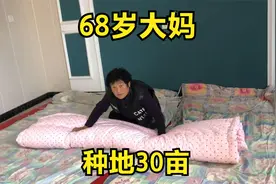 农村68岁大妈身体硬朗，独自种30亩地，看一年能收入多少钱？视频封面