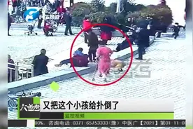 河南郑州：吓人！广场上一条大狗发疯咬伤4人，监控拍下惊魂一幕