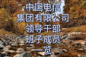 中国电信集团有限公司（电信）领导干部班子成员一览视频封面