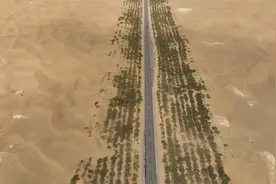 航拍塔里木沙漠公路，穿越塔克拉玛干沙漠，是世界最长沙漠公路视频封面