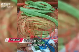 司机从云南拉豆角到山东被拒付运费 发货方：豆角变质 起诉司机视频封面
