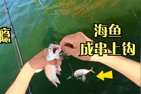 鱼太多，钓到腻怎么办？换一种玩法继续视频封面
