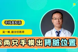 肾脏长在哪里？医生说出了“细节”，多数人还不知道