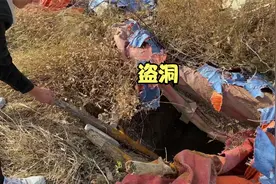 一座丘陵上面发现一座古墓，据说是刘邦的陵墓，上面全是盗洞视频封面