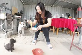 农村80后新婚夫妇，媳妇下厨做饭煮面条不让老公吃，这是喂狗儿的