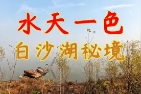 郑州、许昌交界，一个半荒废的公园里，藏着人间仙境般的美景视频封面