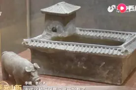 南京博物院举办第十一届生肖展，憨态可掬猪展品，带来新春好运视频封面