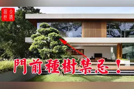 门前种花草禁忌