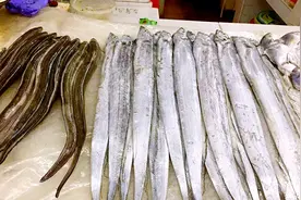 买“带鱼”时有技巧，遇见“这3种”万万不能买，商贩自己都不吃视频封面