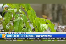 雨水不停歇 6月下旬以来云南雨情水情发布视频封面