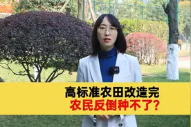 高标准农田建成后，反而无法耕种了，这到底是怎么一回事？视频封面