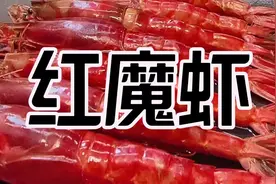 生吃超大个红魔虾 真过瘾视频封面