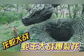 大蛇3龙蛇之战：百米蛇王大战暴虐骨龙，怪兽帝王之争！视频封面