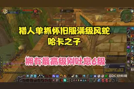 怀旧服猎人祖格单抓哈卡之子 70版本的神宠