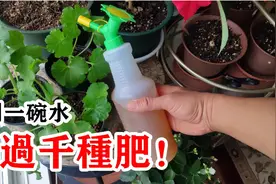 3样家家都有的材料，就可以自己制作神奇的EM菌，快捷卫生高效视频封面