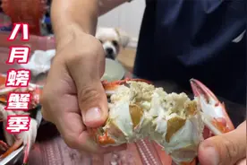 八月开渔季，不容错过的时令海鲜，螃蟹青壳虾餐桌上的美味佳肴视频封面