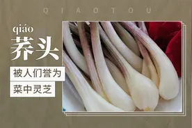 荞头——被人们誉为菜中灵芝