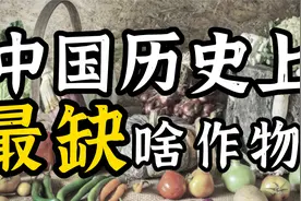 【李昕升】张骞通西域到底带回多少物种？古代中国最缺什么作物？视频封面