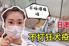 日本人为啥不打狂犬疫苗，却基本没有人得狂犬病？这点很值得学习视频封面