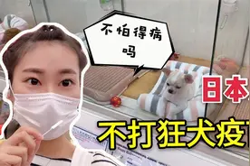 日本人为啥不打狂犬疫苗，却基本没有人得狂犬病？这点很值得学习视频封面