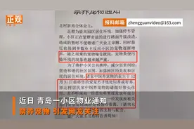 街道办回应青岛小区全面禁养宠物：属于社区管理，正调查视频封面