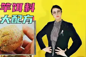 海竿饵料的配制方法，十大配方免费送，鲫鲤鲢鳊草都有哦！视频封面