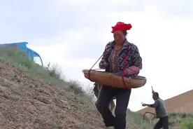 看看农村一年四季，种地流程你知道吗？老农人亲自教你