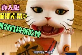 《猫抓老鼠》真人版，被抓到直接没了小命！视频封面