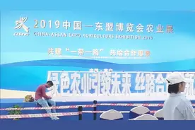 看东盟来广西，直击第十六届中国—东盟博览会现场！视频封面