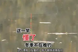天冷垂钓鲫鱼时，浮漂总没动作上鱼的原因，看完这漂相就明白了视频封面