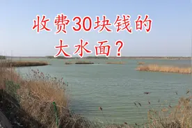 30块钱钓半天的大水面怎么样 探钓聊城位山黄河湿地公园视频封面