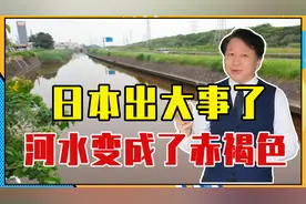 日本出大事了，河水变成了赤褐色，死鱼随处可见，恐危害2亿民众视频封面