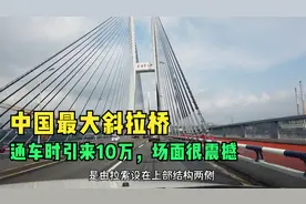 重庆第二座长江大桥，通车时引来10万人，是测试桥的质量问题？视频封面
