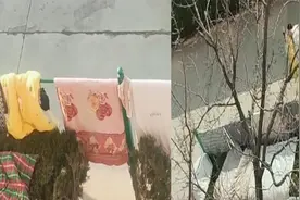 女生发现没有地方晒被子，跑到男朋友宿舍楼下晒被子，情侣欢乐多视频封面