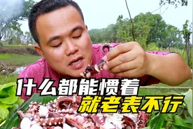 气不打一处来！什么都能惯着，就老表不能惯着视频封面