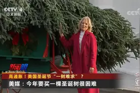 美国圣诞节“一树难求” 火鸡价格暴涨 感恩节晚餐变“史上最贵”视频封面