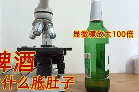 喝了啤酒为什么会胀肚子？显微镜放大100倍观察后，你会茅塞顿开视频封面