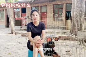 母狗吃鸡肉会导致滑胎？可能是这个小细节没注意，一定要注意视频封面