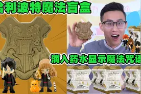 试玩哈利波特魔法盲盒，滴入药水显示魔法咒语，还有伏地魔隐藏款视频封面
