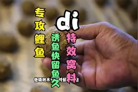 分享夏季专攻鲤鱼的打窝料制作和配方，诱鱼极佳留鱼持久制作简单
